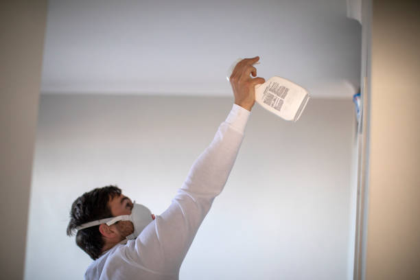 Best Kitchen Mold Remediation in Luna Pier, MI